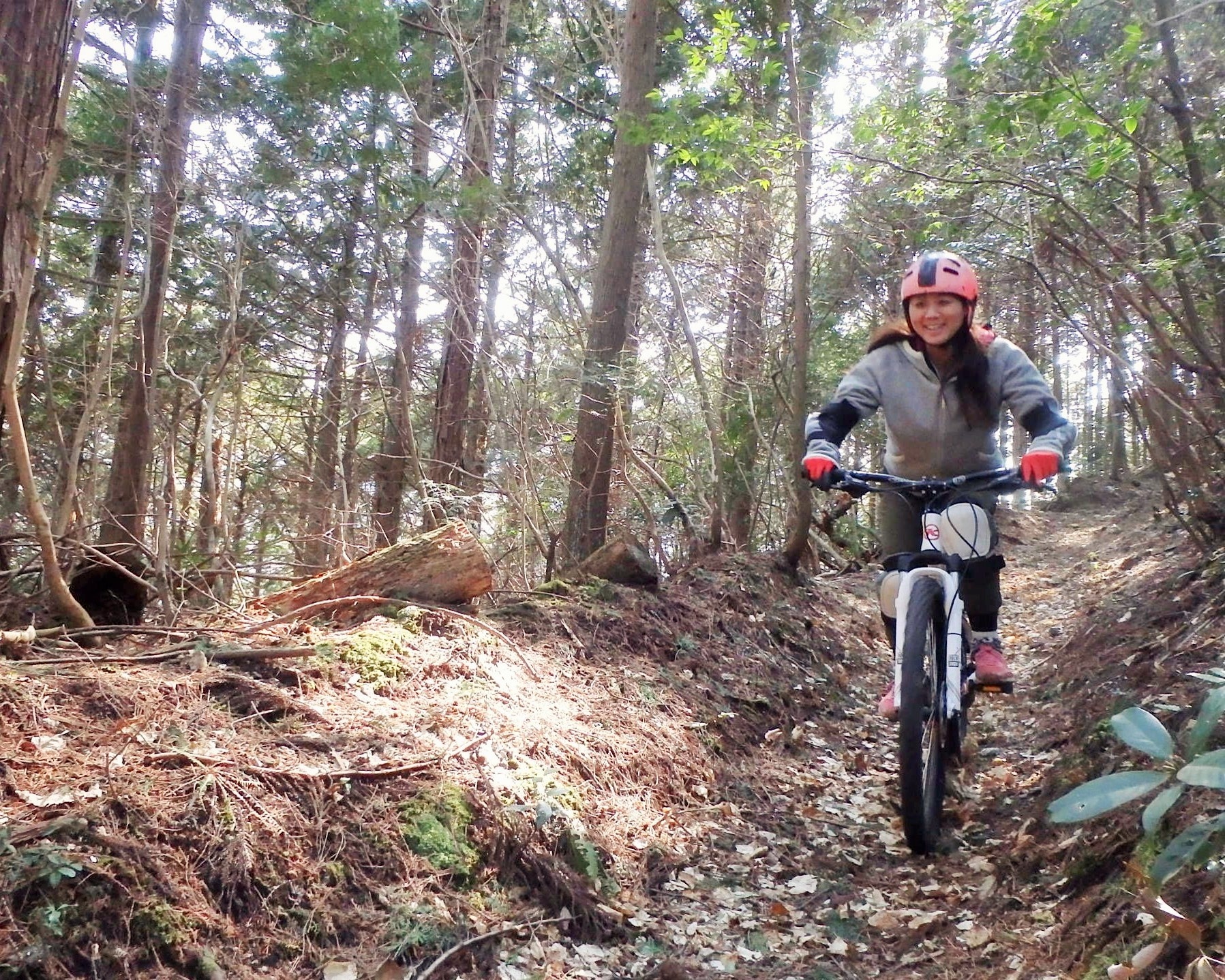 徳島県のマウンテンバイク・サイクリング(MTB・ダウンヒル)の体験 